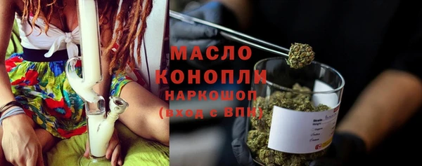 индика Новодвинск