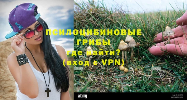 кристаллы Няндома