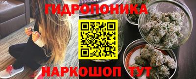 молекула духа Бийск