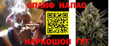 сатива Беслан