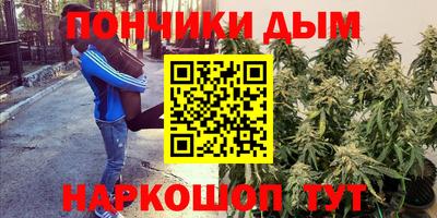 молекула духа Бийск