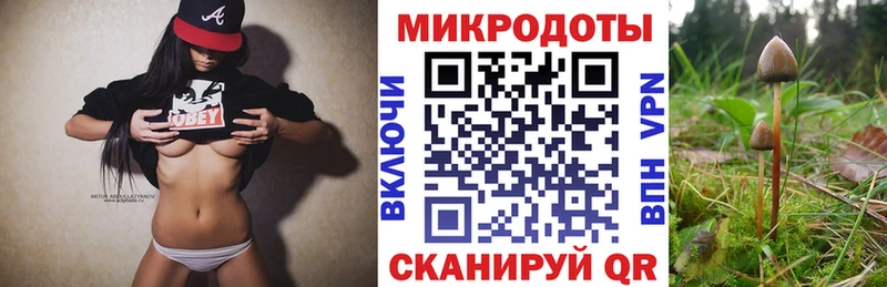 hydra tor  купить  сайты  Гурьевск  Галлюциногенные грибы Psilocybe 