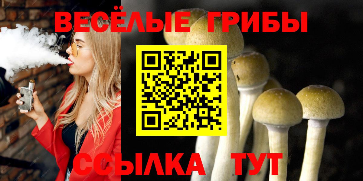  КОКАИН Гурьевск