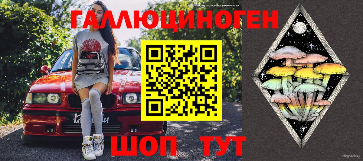 купить наркотик  Гурьевск  Галлюциногенные грибы Psilocybe 